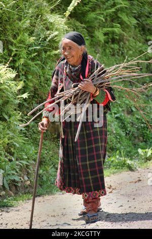 Hindu Thakur woman in traditional clothing carrying a bundle of sticks in the village of Broat in Himachal Pradesh, India. (Photo by Creative Touch Imaging Ltd./NurPhoto) Stock Photo