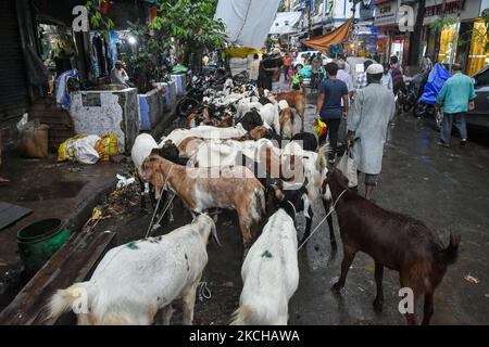 A livestock market in Kolkata , ahead of Eid al-Adha observation in Kolkata , India , on 17 July 2021 .The festival commemorates the willingness of Ibrahim to sacrifice his son as an act of obedience to gods command , but before he could do the act , Allah intervened and provided a lamb to sacrifice instead . In commemoration of this , animals are sacrificed ritually on the day of Eid al-Adha . (Photo by Debarchan Chatterjee/NurPhoto) Stock Photo