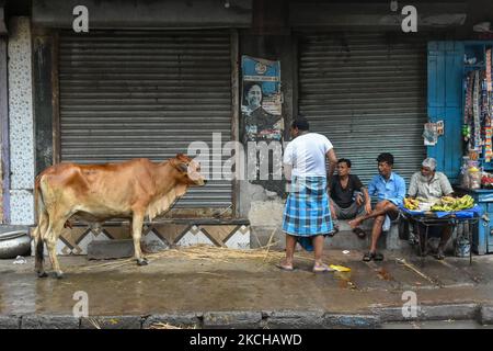 People looks upon a cow which is put on display for sale , ahead of Bakra eid celebration in Kolkata , India , on 17 July 2021 .The festival commemorates the willingness of Ibrahim to sacrifice his son as an act of obedience to gods command , but before he could do the act , Allah intervened and provided a lamb to sacrifice instead . In commemoration of this , animals are sacrificed ritually on the day of Eid al-Adha . (Photo by Debarchan Chatterjee/NurPhoto) Stock Photo