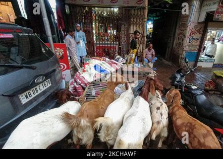 A livestock market in Kolkata , ahead of Eid al-Adha observation in Kolkata , India , on 17 July 2021 .The festival commemorates the willingness of Ibrahim to sacrifice his son as an act of obedience to gods command , but before he could do the act , Allah intervened and provided a lamb to sacrifice instead . In commemoration of this , animals are sacrificed ritually on the day of Eid al-Adha . (Photo by Debarchan Chatterjee/NurPhoto) Stock Photo