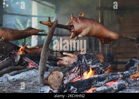 Pigs being roasted by the roadside outside the city of Santiago, Dominican Republic, on December 23, 2011. These pigs will be sold to families for traditional Christmas dinners. Roasted pig is traditionally eaten by most families in the Dominican Republic for dinner during Christmas Eve, especially in the rural areas. (Photo by Creative Touch Imaging Ltd./NurPhoto) Stock Photo