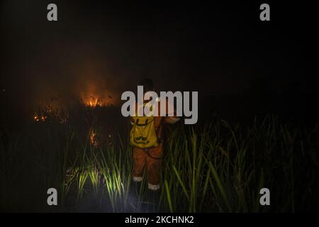 Officers from Manggala Agni Daops Banyuasin extinguish peatland fires in  Ibul 1 Village, Pemulutan District, Ogan Ilir Regency, South Sumatra. This  land fire occurred at 10.00 WIB with an area of ????about