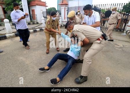 Police personnel detain Akhil Bharatiya Vidyarthi Parishad 'ABVP' activists as they protest against the state government for their demands at Rajasthan University in Jaipur, Rajasthan, India, on, July 26, 2021. (Photo by Vishal Bhatnagar/NurPhoto) Stock Photo