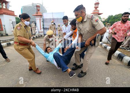 Police personnel detain Akhil Bharatiya Vidyarthi Parishad 'ABVP' activists as they protest against the state government for their demands at Rajasthan University in Jaipur, Rajasthan, India, on, July 26, 2021. (Photo by Vishal Bhatnagar/NurPhoto) Stock Photo