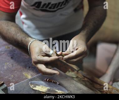 Worker sits at a work bench as he hand rolls cigars using loose tobacco leaves at a cigar factory in Puerto Plata, Dominican Republic, on December 21, 2010. (Photo by Creative Touch Imaging Ltd./NurPhoto) Stock Photo