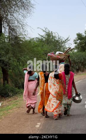 Group of Indian women carry baskets with tools on their heads as they walk along the roadside in Chandrapur, Maharashtra, India, on June 18, 2010. (Photo by Creative Touch Imaging Ltd./NurPhoto) Stock Photo