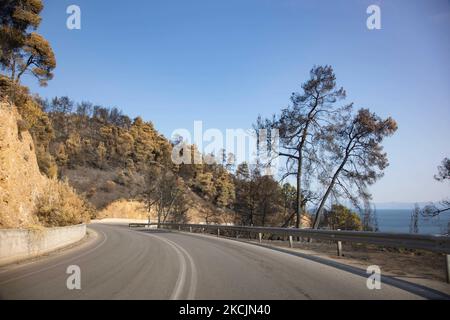 Road, burned trees and sea view near Limni. The aftermath of the fires in Greece, while little flames still are burning in the forest. A huge environmental disaster took place in Greece. Forest, pine trees, olive groves, businesses, hotels, houses, vehicles, and animals have been burned. The fire was over after a night rain, while the previous days Greek firefighters, local volunteers, foreign firefighters, aircraft and helicopters where fighting to extinguish the wildfire in the Greek Island of Evia (Euboea) - Nearly 100,000 hectares of forestry and farmland have burned in less than two weeks Stock Photo