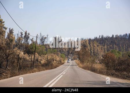 The road surrounded by burned forest. The aftermath of the fires in Greece, while little flames still are burning in the forest. A huge environmental disaster took place in Greece. Forest, pine trees, olive groves, businesses, hotels, houses, vehicles, and animals have been burned. The fire was over after a night rain, while the previous days Greek firefighters, local volunteers, foreign firefighters, aircraft and helicopters where fighting to extinguish the wildfire in the Greek Island of Evia (Euboea) - Nearly 100,000 hectares of forestry and farmland have burned in less than two weeks in Gr Stock Photo