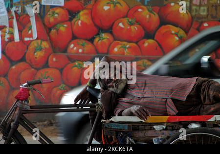 A homeless trolley rickshaw puller rests in the shadow of a overpass bridge as he takes break from the works near to the daily market area in between the lockdown relaxation period in the eastern Indian state Odisha's capital city Bhubaneswar, India, on August 26, 2021 (Photo by STR/NurPhoto) Stock Photo