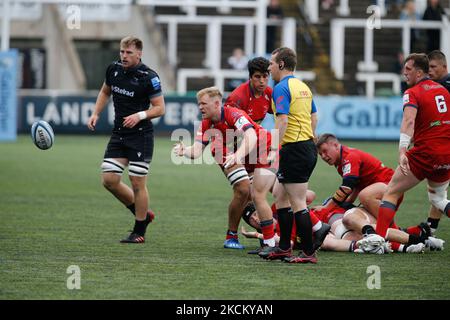 Tickets on sale for Falcons pre-season. - Doncaster Knights