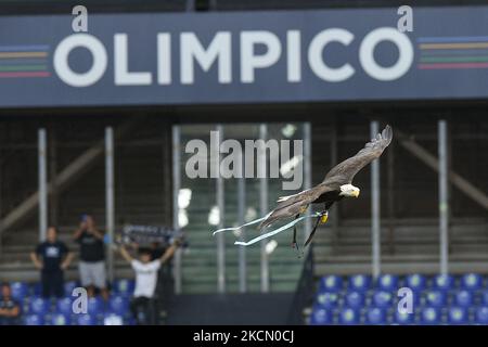 Lazio's eagle mascot Olimpia flies in the stadium during the Serie A match between SS Lazio and Cagliari Calcio at Stadio Olimpico, Rome, Italy on 19 September 2021. (Photo by Giuseppe Maffia/NurPhoto) Stock Photo