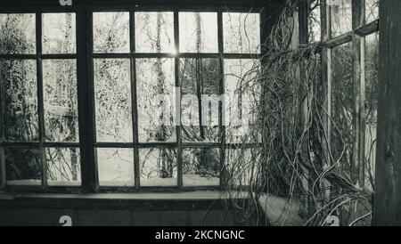 Porch of an old abandoned house in winter with frosted windows Stock Photo