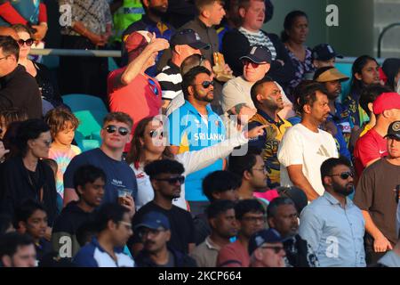 Sydney, Australia. 05th Nov, 2022. Sri Lankan fan during the ICC Mens T20 World Cup 2022 match between England and Sri Lanka at Sydney Cricket Ground, Sydney, Australia on 5 November 2022. Photo by Peter Dovgan. Editorial use only, license required for commercial use. No use in betting, games or a single club/league/player publications. Credit: UK Sports Pics Ltd/Alamy Live News Stock Photo