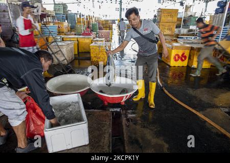 Fish market at the Muara Angke market, in Jakarta, Indonesia, on October 14, 2021. Since the Covid-19 pandemic, fish sales in Muara Angke have decreased drastically. (Photo by Donal Husni/NurPhoto) Stock Photo