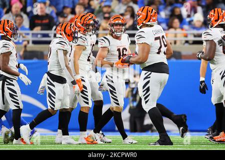 Cincinnati Bengals wide receiver Trenton Irwin (16) runs for the play  during an NFL football game against the Carolina Panthers, Sunday, Nov. 6,  2022, in Cincinnati. (AP Photo/Emilee Chinn Stock Photo - Alamy