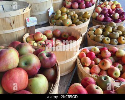 Apples at a grocery store in Toronto, Ontario, Canada on October 20, 2021. Canada's inflation rate reached 4.1 percent in August, highest since 2003 and as a result experts are predicting a big increase in grocery bills across Canada. (Photo by Creative Touch Imaging Ltd./NurPhoto) Stock Photo