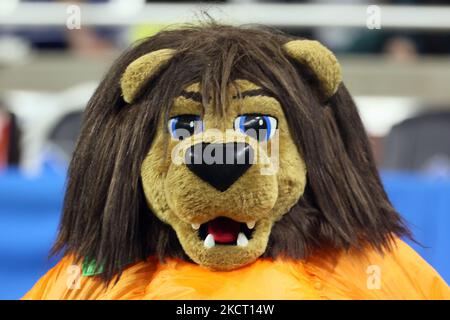 Detroit lions mascot hi-res stock photography and images - Alamy