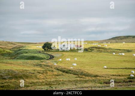 Farm at Hlidarendi countryside - renown from the Icelandic saga of Njal describing events between 960 and 1020 Stock Photo