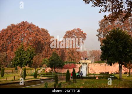 People visit Kashmir's famous Mughal garden during Autumn season in ...