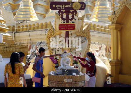 Buddhist devotees pour water over a Buddha statue during the full moon day of Tazaungmon, the eighth month of the Myanmar calendar, at Shwedagon Pagoda in Yangon, Myanmar on November 18, 2021. (Photo by Myat Thu Kyaw/NurPhoto) Stock Photo