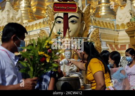 Buddhist devotees pour water over a Buddha statue during the full moon day of Tazaungmon, the eighth month of the Myanmar calendar, at Shwedagon Pagoda in Yangon, Myanmar on November 18, 2021. (Photo by Myat Thu Kyaw/NurPhoto) Stock Photo