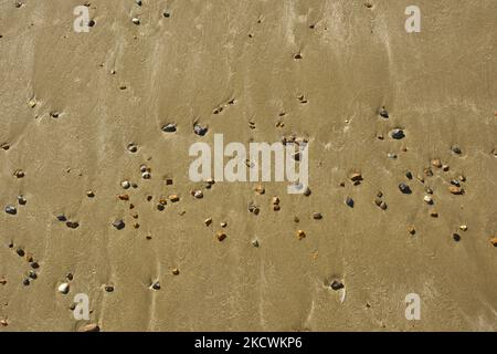 Smooth sandy beach with scattering of pebbles. Stock Photo