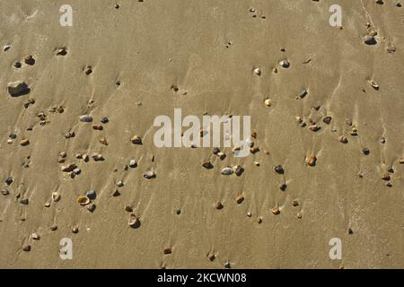 Smooth sandy beach with scattering of pebbles. Stock Photo
