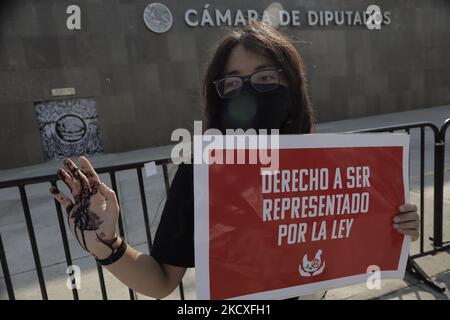 Activist from Direct Action Everywhere Mexico City, holding up her arm with artificial blood on her hand, demonstrates outside the Chamber of Deputies in Mexico City against exploitation in the animal industry and in favour of Rose's Law during the COVID-19 health emergency in the capital. (Photo by Gerardo Vieyra/NurPhoto) Stock Photo