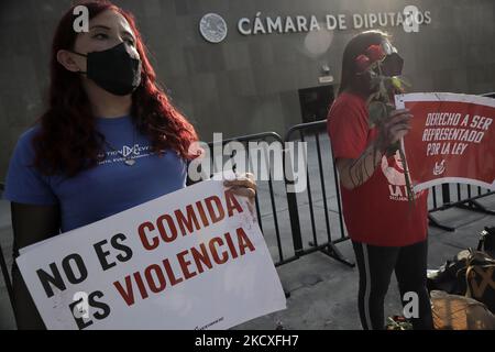 Activists from the organisation Direct Action Everywhere Mexico City, hold signs while demonstrating outside the Chamber of Deputies in Mexico City against exploitation in the animal industry and in favour of Rose's Law during the COVID-19 health emergency in the capital. (Photo by Gerardo Vieyra/NurPhoto) Stock Photo