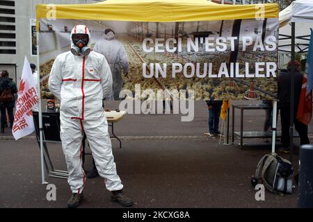 A farmer wearing a protective suit used in intensive poultry farming stands in front of a banner depicting an intensive poultry farm reading 'This is not a hen house'. Several organizations such as FNE (France Nature Environnement), the Lescout Collective (which fights against a mega farm of more than 200,000 chickens), the trade union Confederation Paysanne staged a march in Toulouse.They protest against the mandatory lockdown of poultry due to the avian flu epizootic disease by the French government. Protesters explained the flu is more contagious in intensive farming than in extensive farmi Stock Photo