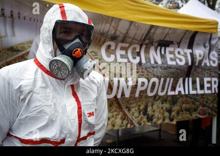 A farmer wearing a protective suit used in intensive poultry farming stands in front of a banner depicting an intensive poultry farm reading 'This is not a hen house'. Several organizations such as FNE (France Nature Environnement), the Lescout Collective (which fights against a mega farm of more than 200,000 chickens), the trade union Confederation Paysanne staged a march in Toulouse.They protest against the mandatory lockdown of poultry due to the avian flu epizootic disease by the French government. Protesters explained the flu is more contagious in intensive farming than in extensive farmi Stock Photo