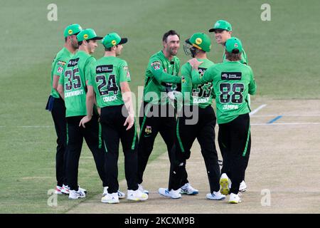Glenn Maxwell of Stars celebrate after taking the wicket of Sam Whiteman of Thunders during the match between Sydney Thunder and Melbourne Stars at Sydney Showground Stadium, on December 12, 2021, in Sydney, Australia. (Editorial use only) Stock Photo