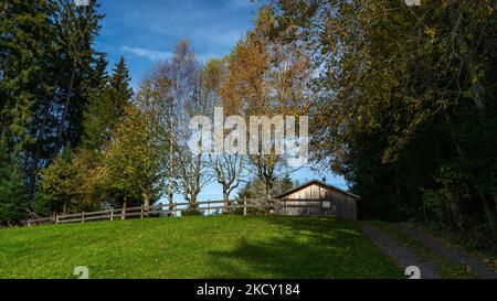 Ferienhaus, Hütte am Waldrand mit Aussicht über den Bregenzerwald mit Wiesen, Bäumen und Wälder. sonniger Herbst mit blauem Himmel und Schleierwolken Stock Photo