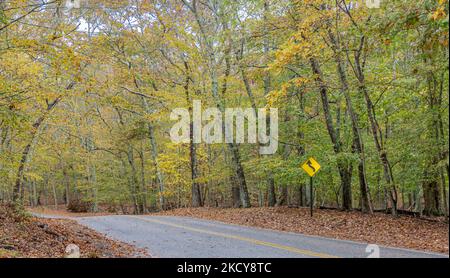 Section of empty road in Amagansett on a fall day Stock Photo