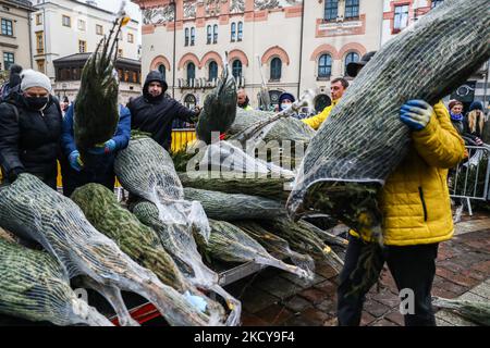 Free Christmas trees are being distributed during the event organized by RMF FM radio at Szczepanski Square in Krakow, Poland on December 19, 2021. RMF FM distributed thousands of free Christmas trees in fourteen Polish cities as part of the campaign. (Photo by Beata Zawrzel/NurPhoto) Stock Photo