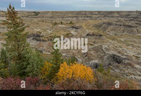 Scenic view of the Horseshoe Canyon, a region of badlands surrounded by a prairie, located approximately 17 kilometers (11 miles) west of Drumheller Town, along Highway 9. On Wednesday, 29 September 2021, in Drumheller, Alberta, Canada. (Photo by Artur Widak/NurPhoto) Stock Photo