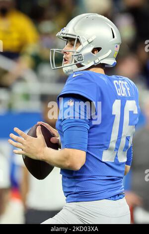 Detroit lions hi-res stock photography and images - Alamy