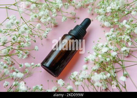 Brown glass dropper bottle with dry plants on pink background. Skincare products , natural cosmetic. Stock Photo