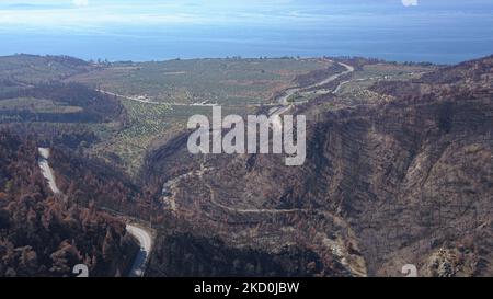The burnt forest and mountain in Evia. Drone captures aerial view of the aftermath of the wildfires in Evia Island, one of the largest environmental disasters in the country. Scientists claim the wildfires were caused by climate change after a long period of dry weather with record high temperatures in the south of Europe and the Mediterranean area, causing the wildfires. Local people are devastated as the economy was affected by the fire, it was strongly connected with nature and the forest for honey or resin production but also for tourism as the area was a popular nature destination for Gre Stock Photo