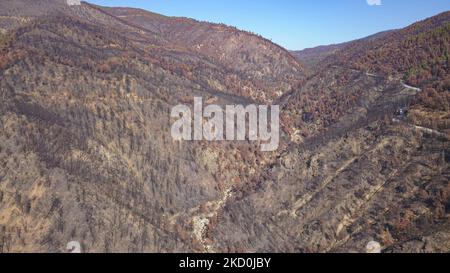 The burnt forest and mountain in Evia. Drone captures aerial view of the aftermath of the wildfires in Evia Island, one of the largest environmental disasters in the country. Scientists claim the wildfires were caused by climate change after a long period of dry weather with record high temperatures in the south of Europe and the Mediterranean area, causing the wildfires. Local people are devastated as the economy was affected by the fire, it was strongly connected with nature and the forest for honey or resin production but also for tourism as the area was a popular nature destination for Gre Stock Photo