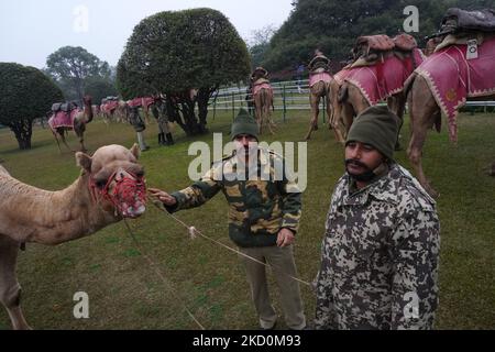 Indian soldiers from Border Security Force (BSF), the only camel mounted division, prepare to take part in the rehearsals for the upcoming Republic Day parade on a foggy winter morning, in New Delhi, India on January 17, 2022. (Photo by Mayank Makhija/NurPhoto) Stock Photo