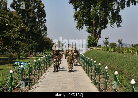 Indian army soldiers on patrol at the Nishat Bagh Mughal Garden during a city-wide curfew after violence erupted in the city of Srinagar, Kashmir, India. (Photo by Creative Touch Imaging Ltd./NurPhoto) Stock Photo