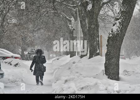 Person walking as a snowstorm hit Toronto, Ontario, Canada, on January 24, 2022. The storm is expected to drop between 5-10 centimeters of snow across the Greater Toronto. (Photo by Creative Touch Imaging Ltd./NurPhoto) Stock Photo