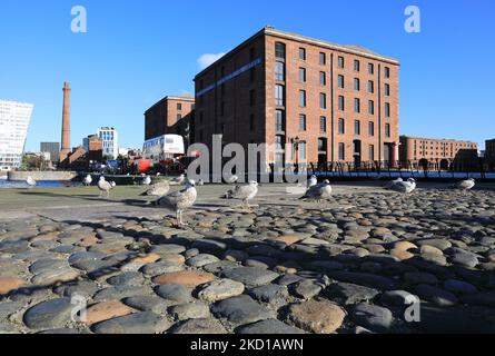 Hartley Quay on the Royal Albert Docks in autumn sunshine, on Liverpool's historic Waterfront, NW England, UK Stock Photo