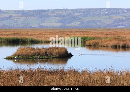 View over the salt marshes from Parkgate conservation village on the Wirral Peninsular in Cheshire, across the River Dee to north Wales, UK Stock Photo