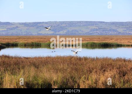 View over the salt marshes from Parkgate conservation village on the Wirral Peninsular in Cheshire, across the River Dee to north Wales, UK Stock Photo