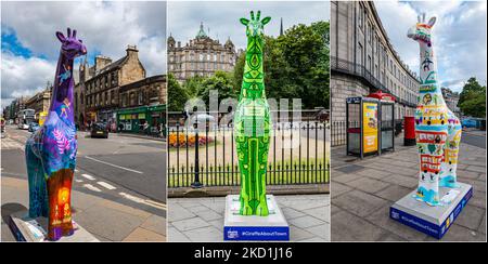 Composite of Giraffes About Town Wild in Art display, Edinburgh, Scotland, UK Stock Photo