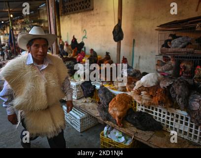 A local man walks past stands with roosters and chickens for sale at a traditional local market in San Juan Chamula. On Tuesday, February 1, 2022, in San Juan Chamula, Chiapas, Mexico. (Photo by Artur Widak/NurPhoto) Stock Photo