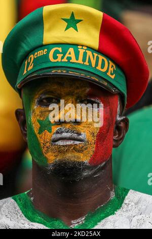 Fan of Senegal team before the 2021 Africa Cup of Nations final soccer match between Senegal and Egypt at the Paul Biya 'Olembe' Stadium, Yaounde, Cameroon 06 February 2022. (Photo by Ayman Aref/NurPhoto) Stock Photo