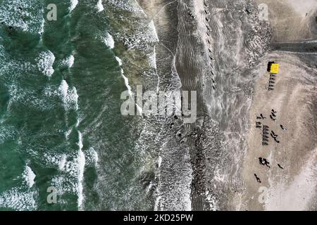 Areal view of Saint Martin's Island, locally known as Narkel Jinjira, is the only coral island of Bangladesh. February 8, 2022 (Photo by Mushfiqul Alam/NurPhoto) Stock Photo